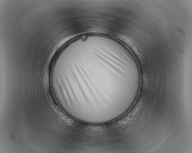 X0000112090931200908251124