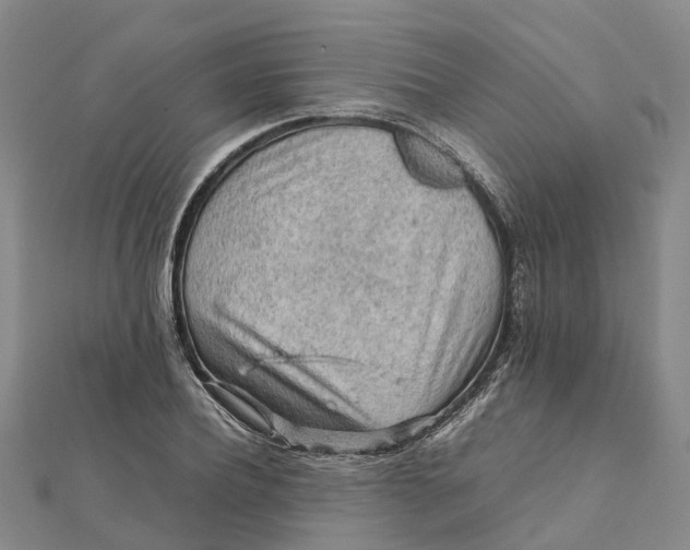 X0000112090932200908251124