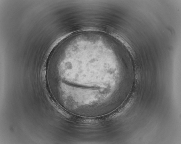 X0000112090933200908251124