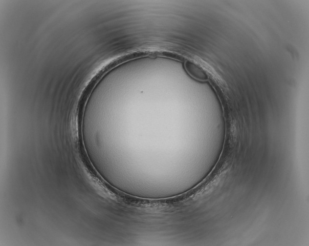 X0000112090934200908251124