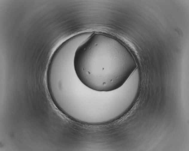 X0000112090936200908251124