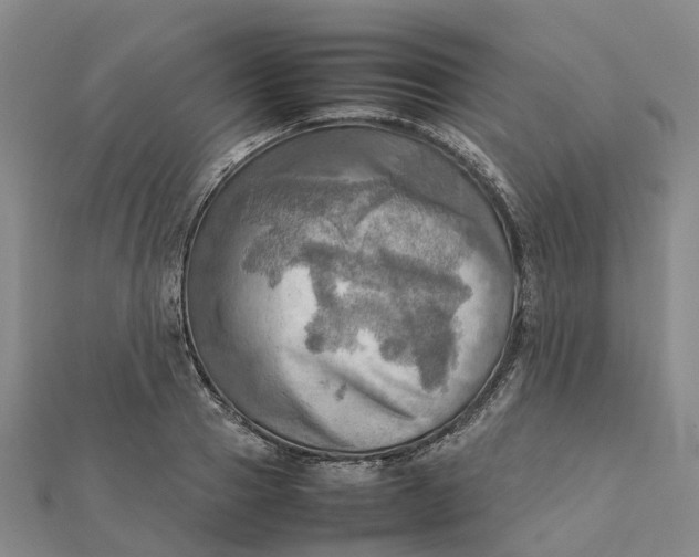 X0000112090937200908251124