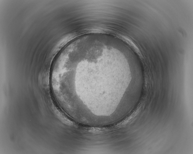 X0000112090938200908251124