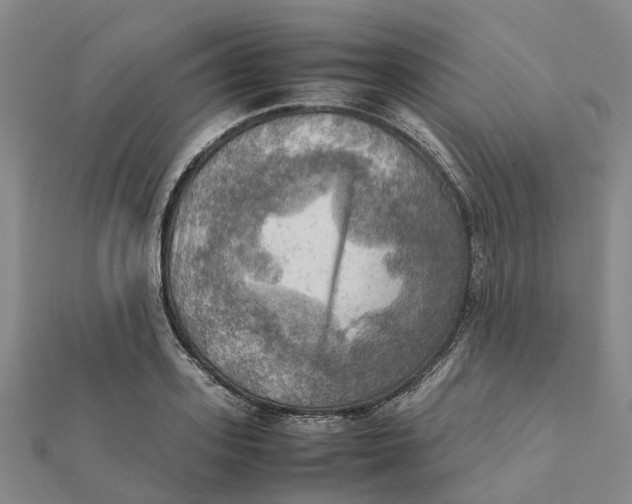 X0000112090939200908251124