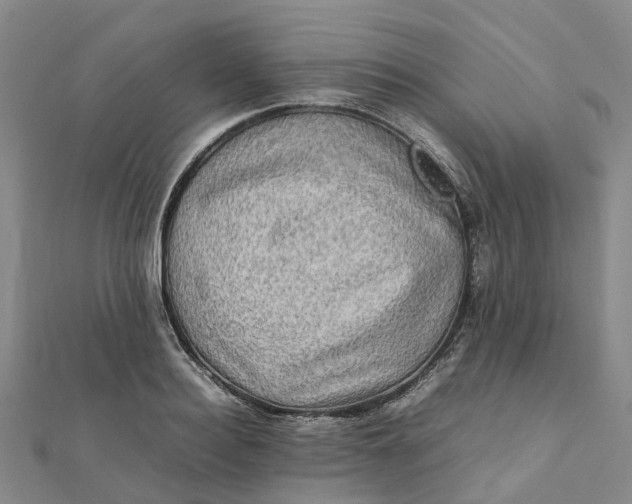 X0000112090940200908251124