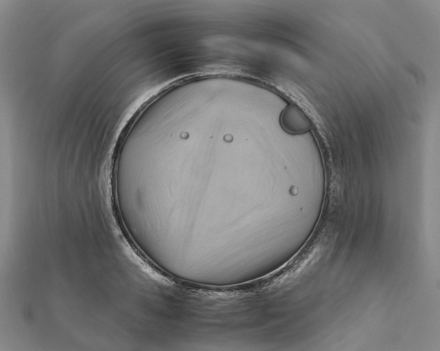 X0000112090941200908251124