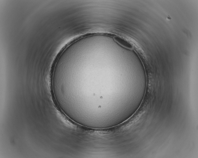 X0000112090942200908251124