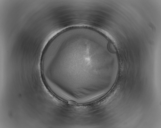 X0000112090943200908251124