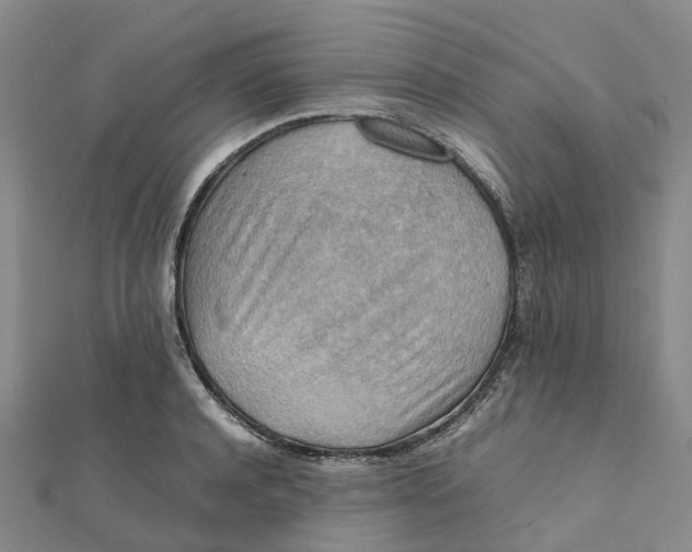 X0000112090944200908251125