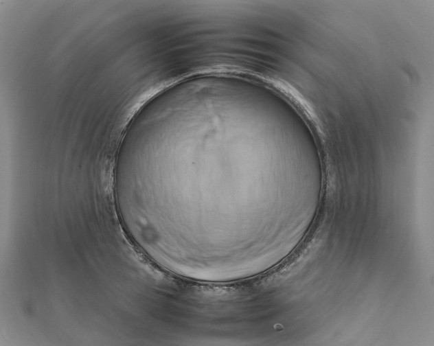 X0000112090945200908251125