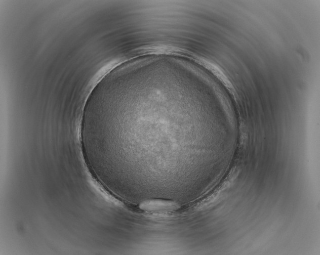 X0000112090946200908251125