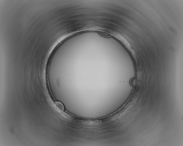 X0000112090947200908251125