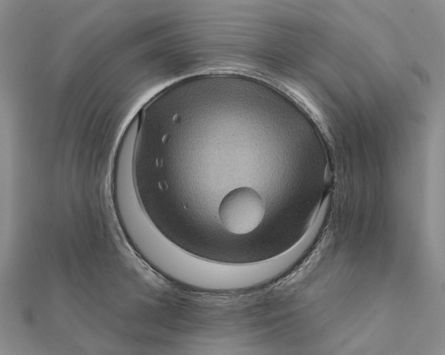 X0000112090948200908251125