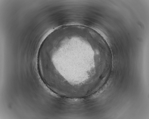 X0000112090949200908251125