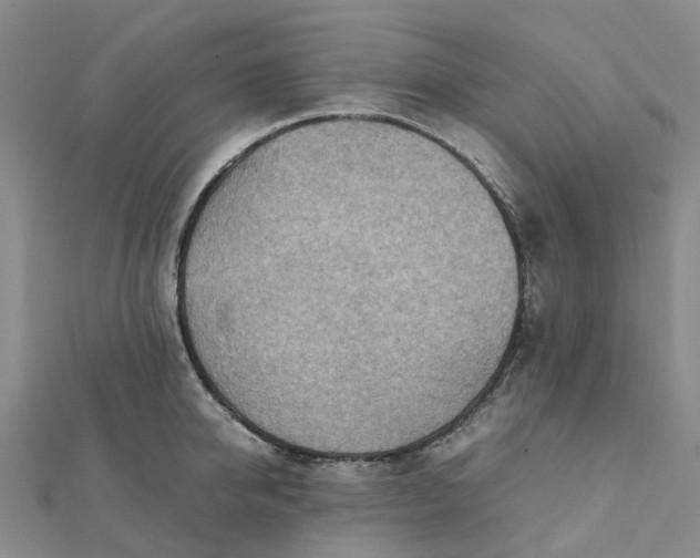 X0000112090950200908251125