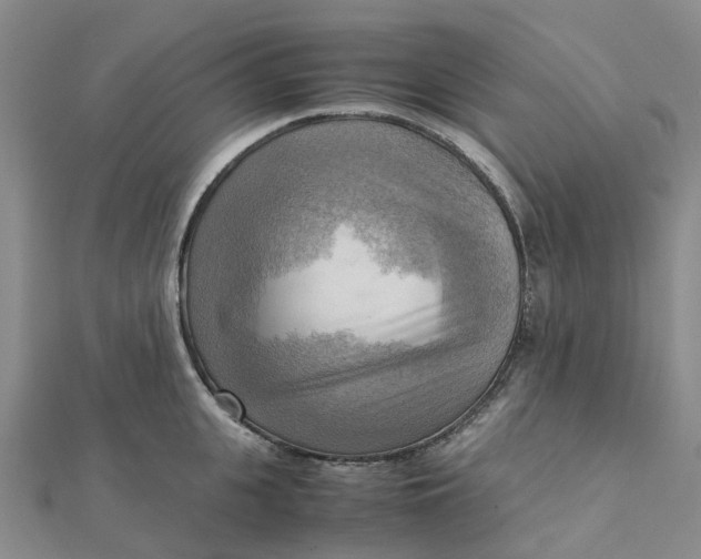 X0000112090951200908251125