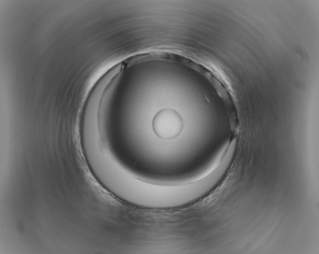 X0000112090952200908251125