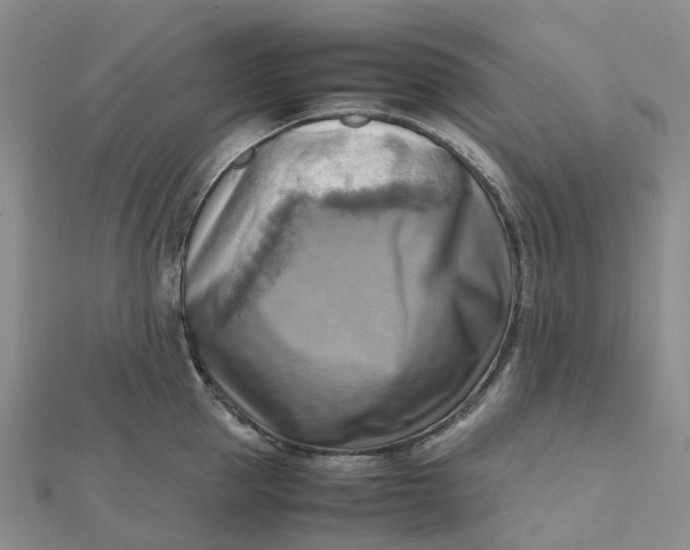 X0000112090953200908251125