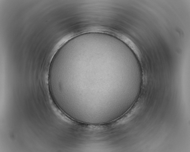 X0000112090954200908251125