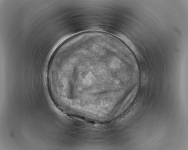 X0000112090955200908251125