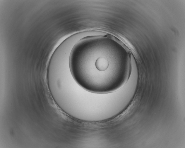 X0000112090956200908251125