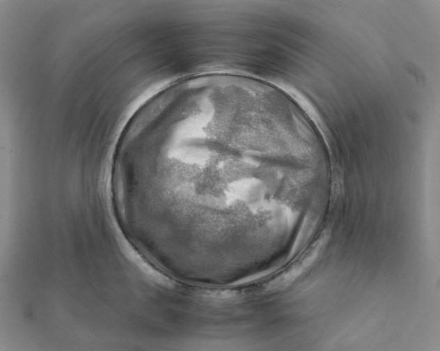 X0000112090957200908251125