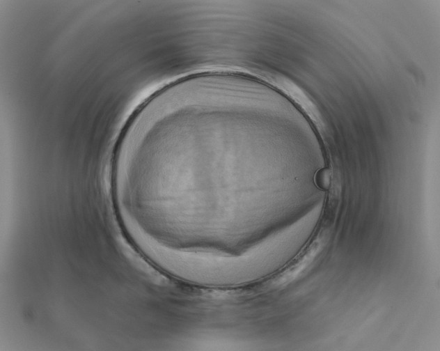 X0000112090958200908251125