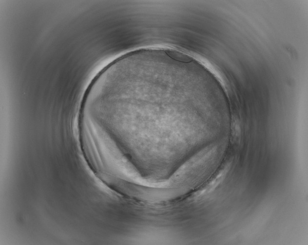 X0000112090959200908251125