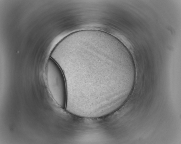 X0000112090960200908251125