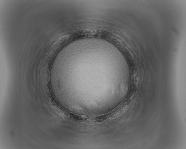 X0000112090961200908251124