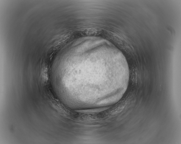 X0000112090962200908251124