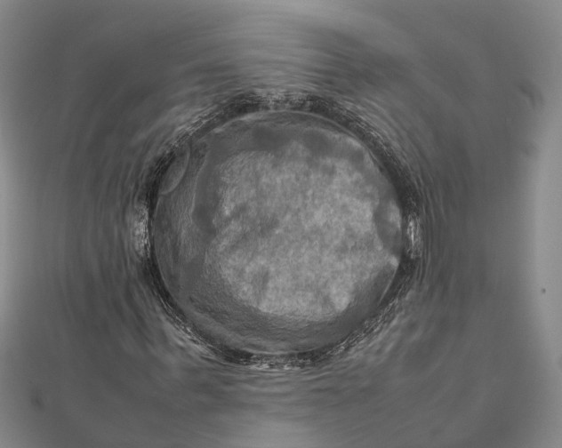 X0000112090963200908251124