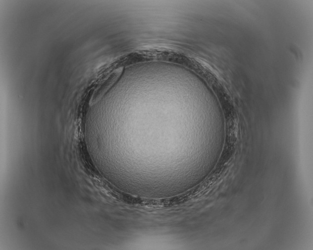 X0000112090965200908251124