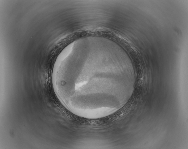 X0000112090966200908251124