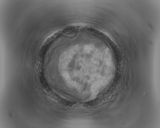 X0000112090967200908251124