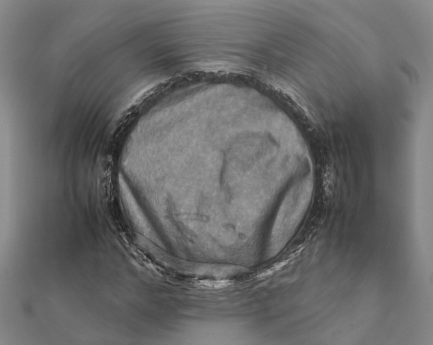 X0000112090968200908251124