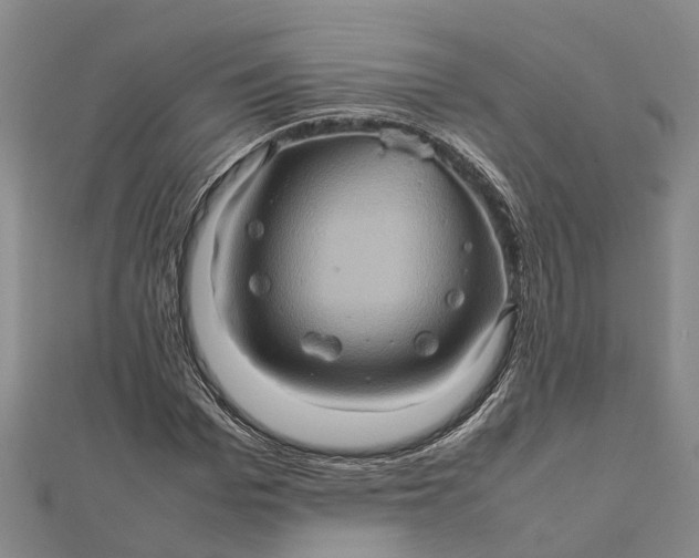 X0000112090969200908251124