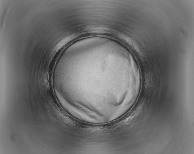 X0000112090970200908251124