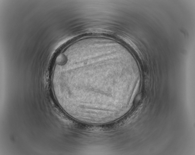 X0000112090971200908251124