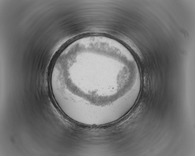 X0000112090972200908251124