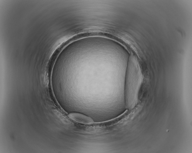 X0000112090973200908251124