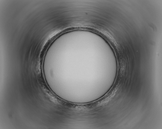 X0000112090974200908251124