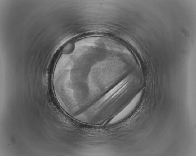 X0000112090975200908251124