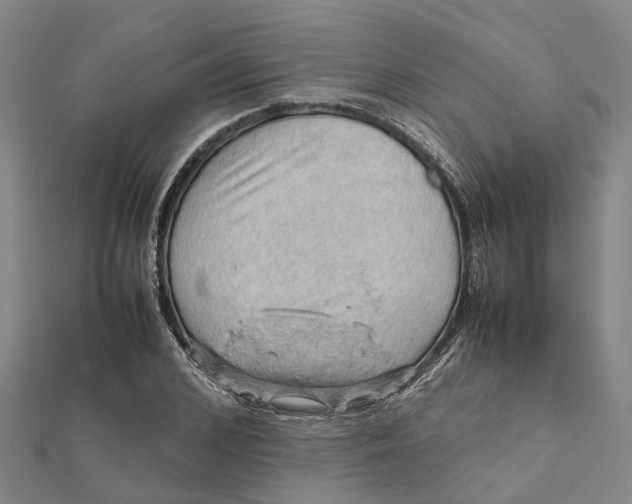 X0000112090976200908251124