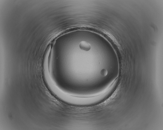 X0000112090977200908251124