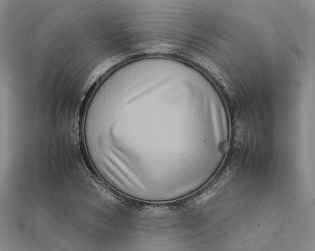 X0000112090978200908251124