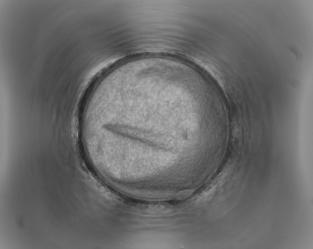 X0000112090979200908251124