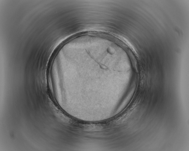 X0000112090980200908251124