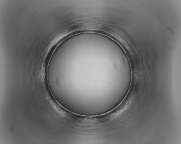 X0000112090981200908251124