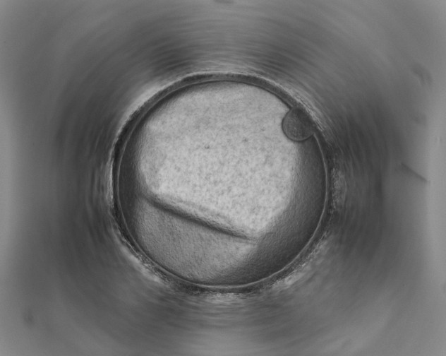 X0000112090982200908251124